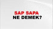 Sap Sapa
