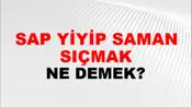 Sap Yiyip Saman Sıçmak