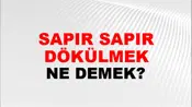 Sapır Sapır Dökülmek