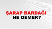 Şarap Bardağı