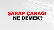 Şarap Çanağı