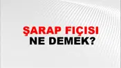 Şarap Fıçısı