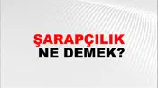 Şarapçılık
