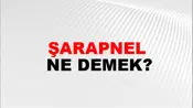 Şarapnel