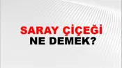 Saray Çiçeği