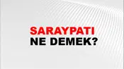 Saraypatı