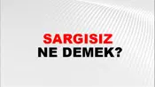 Sargısız