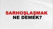 Sarhoşlaşmak