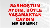Sarhoştum Aydım, Böyle Yaşamaktan Caydım