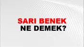 Sarı Benek