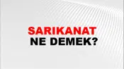 Sarıkanat