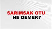 Sarımsak Otu