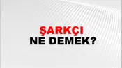 Şarkçı