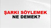 Şarkı Söylemek
