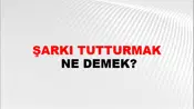 Şarkı Tutturmak