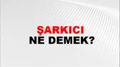 Şarkıcı