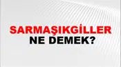 Sarmaşıkgiller