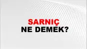 Sarnıç