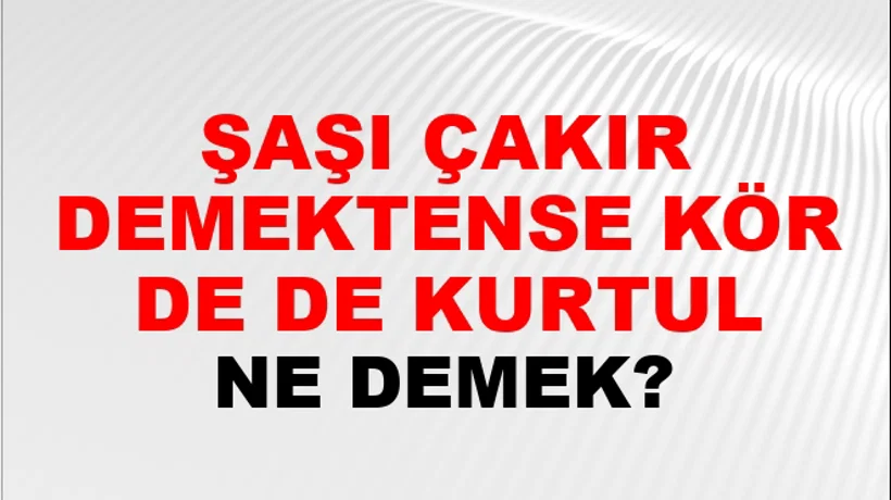 Şaşı Çakır Demektense Kör De De Kurtul Şaşı Çakır Demektense Kör De De Kurtul