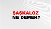 Şaşkaloz