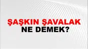 Şaşkın Şavalak