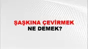 Şaşkına Çevirmek