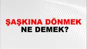 Şaşkına Dönmek
