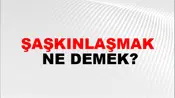 Şaşkınlaşmak