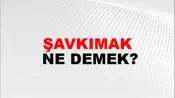Şavkımak