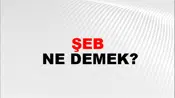 Şeb