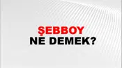 Şebboy