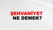 Şehvaniyet