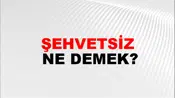 Şehvetsiz