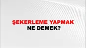 Şekerleme Yapmak