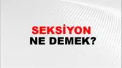 Seksiyon