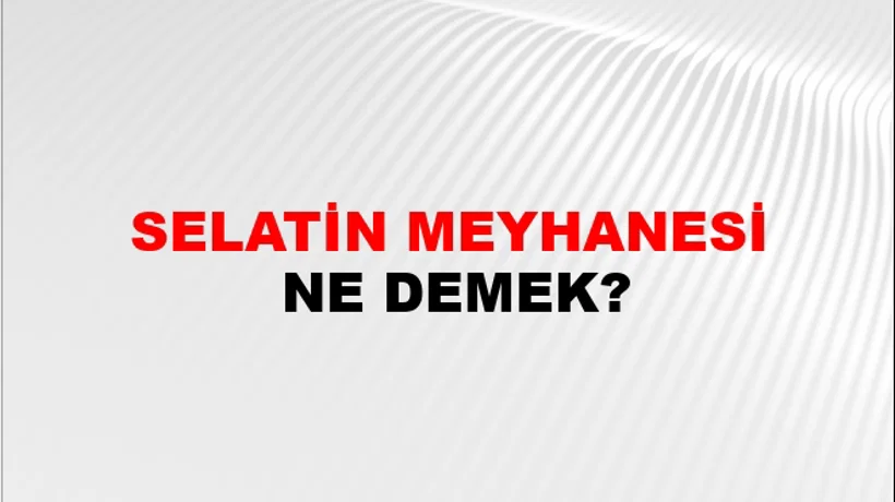 Selatin Meyhanesi Selatin Meyhanesi