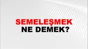 Semeleşmek