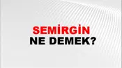 Semirgin