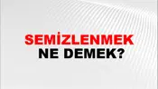 Semizlenmek