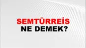 Semtürreis