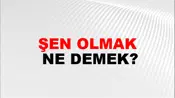 Şen Olmak