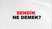 Sendik