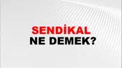 Sendikal