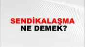 Sendikalaşma