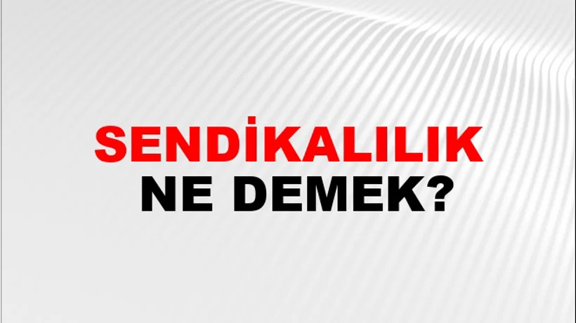 Sendikalılık Sendikalılık