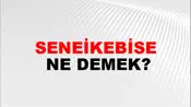Seneikebise