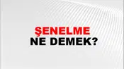 Şenelme
