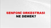 Senfoni Orkestrası