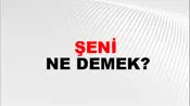 Şeni