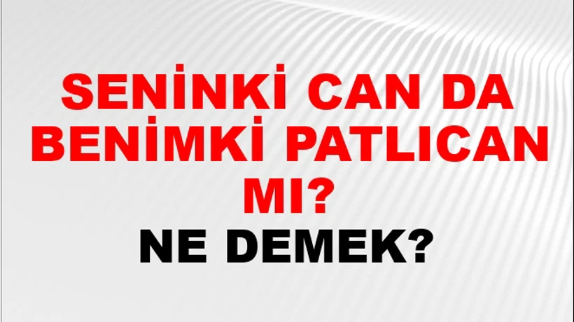 Seninki Can Da Benimki Patlıcan Mı? Seninki Can Da Benimki Patlıcan Mı?